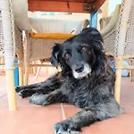 Panzió Alma Libre Lanzarote