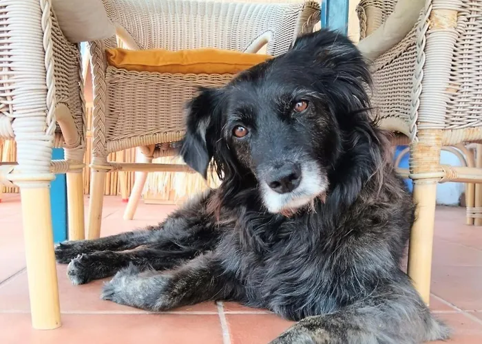 Frühstückspension Alma Libre Lanzarote