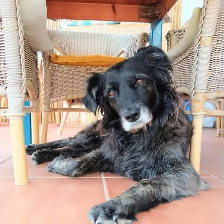 Panzió Alma Libre Lanzarote